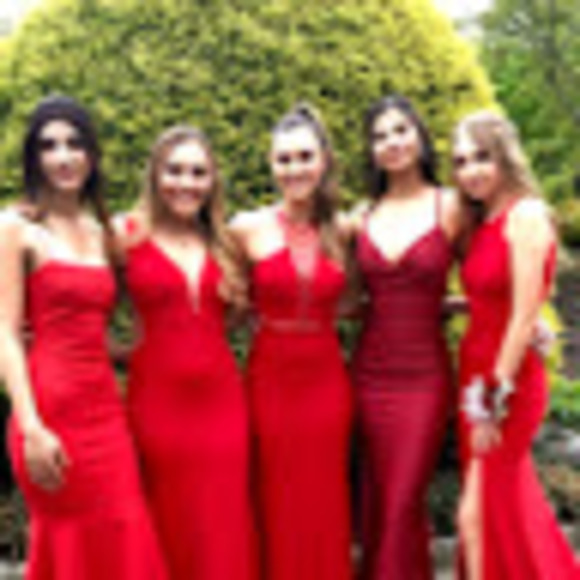 Meet your Posher, Bailey - Picture 1 of 1